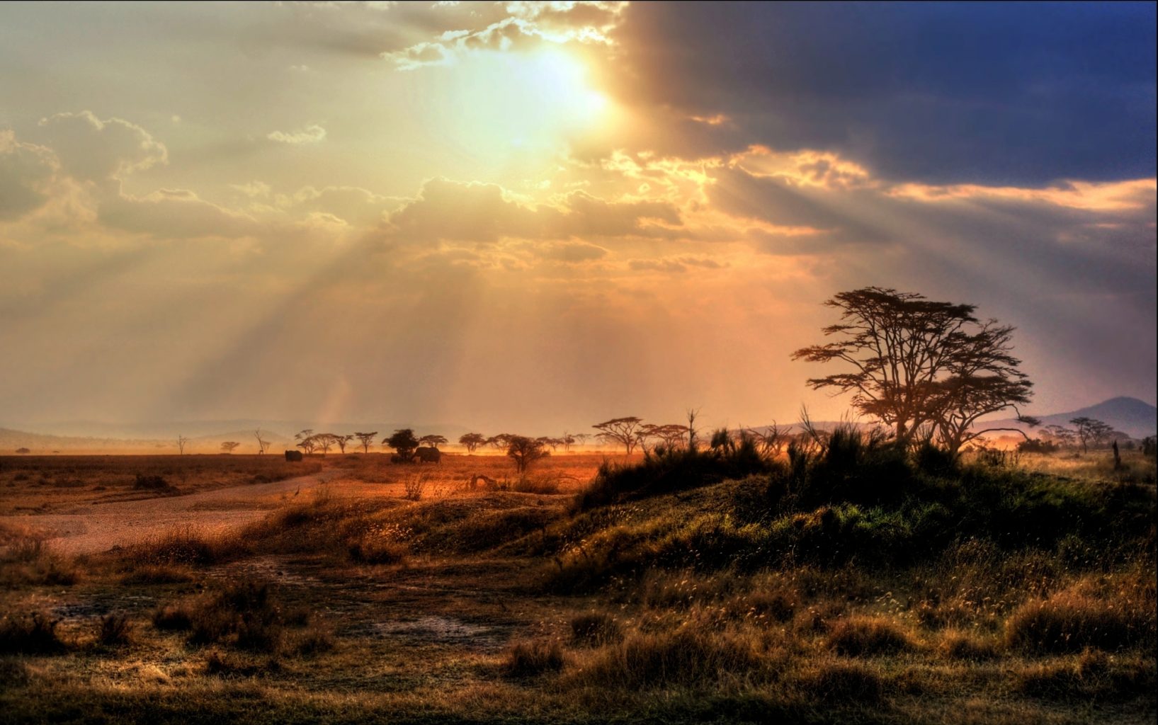Stories I Love: Heat of the Sun | Judy K. Walker