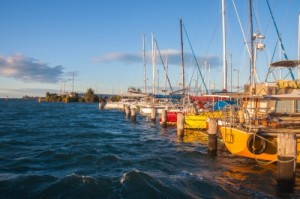 Sailboats in a marina at dusk