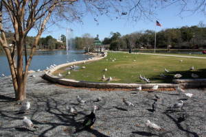 Lake Ella, Tallahassee, FL, by Beatrice M. Queral (State Library and Archives of Florida), via Wikimedia Commons