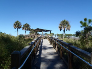 Walkway to overlook at St. Mark's Wildlife Refuge, FL, by Judy K. Walker