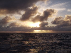 View of sunset with seabird from ship in NWHI by Judy K. Walker