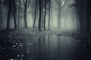 Misty forest at night with water in foreground
