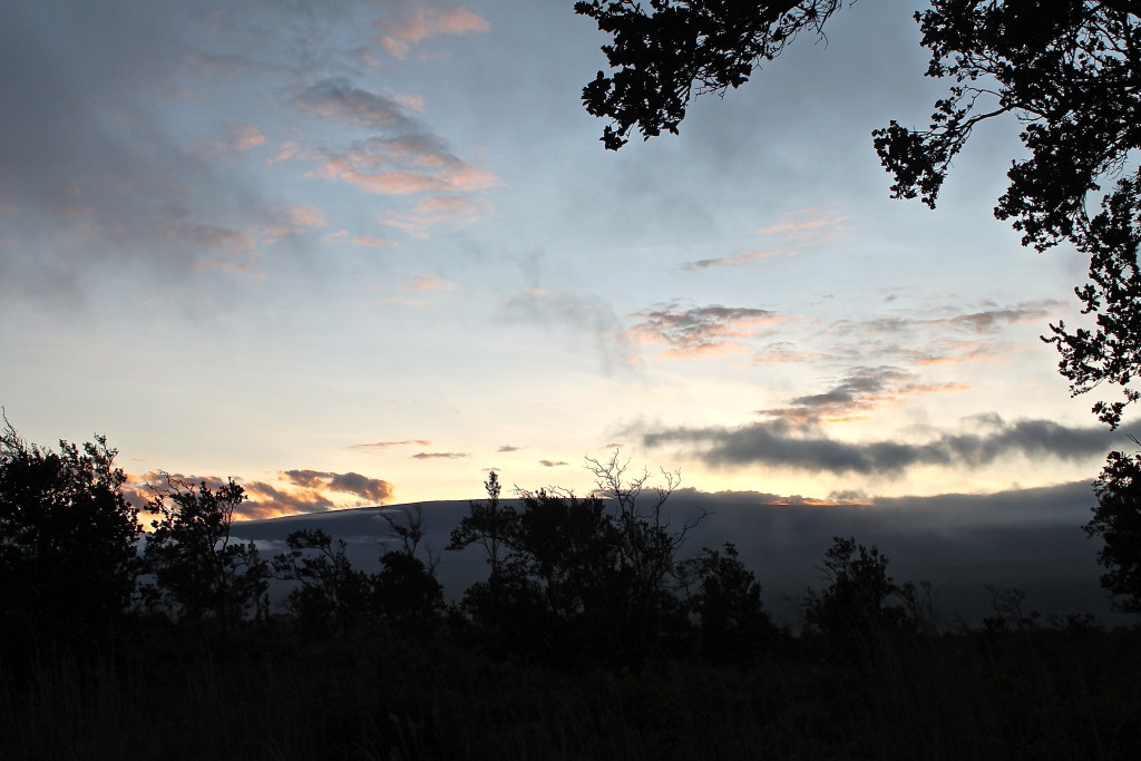 Another view while stuck on Volcano Park Rd by Judy K. Walker