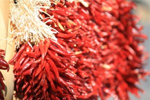 Bunch of dried chili peppers by Heijo Reinl from stocksnap.io