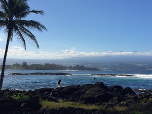 Richardson Beach Park, Hilo, HI, with Mauna Kea in the distance by Judy K. Walker