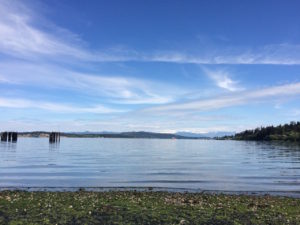 Waiting for Anacortes ferry by Judy K. Walker