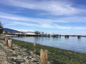 Anacortes_ferry by Judy K. Walker