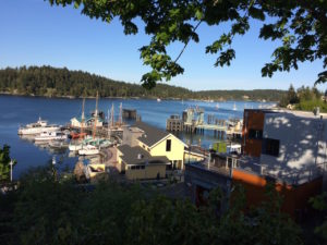 View of Friday Harbor, WA, by Paul Normann