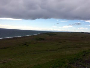 San Juan Island coast by Judy K. Walker