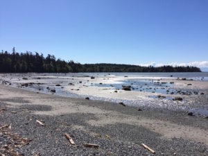 San Juan Island mudflats by Paul Normann