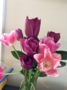 Tulips in vase by Judy K. Walker