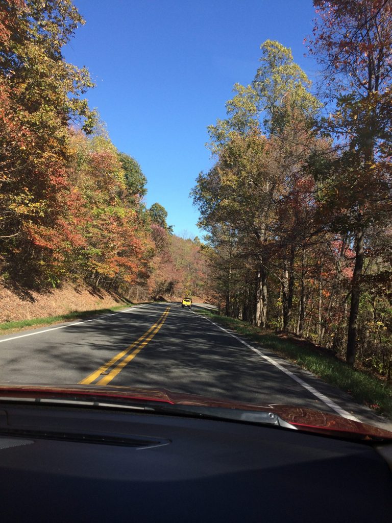 WV road with autumn leaves