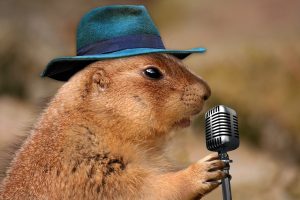 Groundhog in a fedora at a microphone