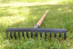 Rake lying on grass in the garden