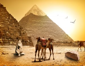 Camels and pyramids on a hot sunny evening