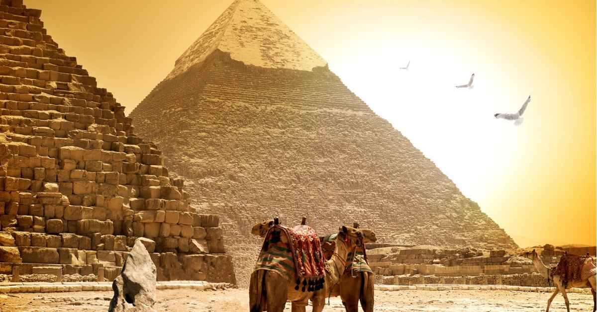 Camels and pyramids on a hot sunny evening