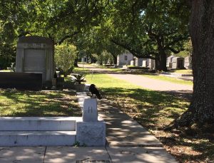 Crow perched on a marker in a Metairie, Louisiana, cemetery